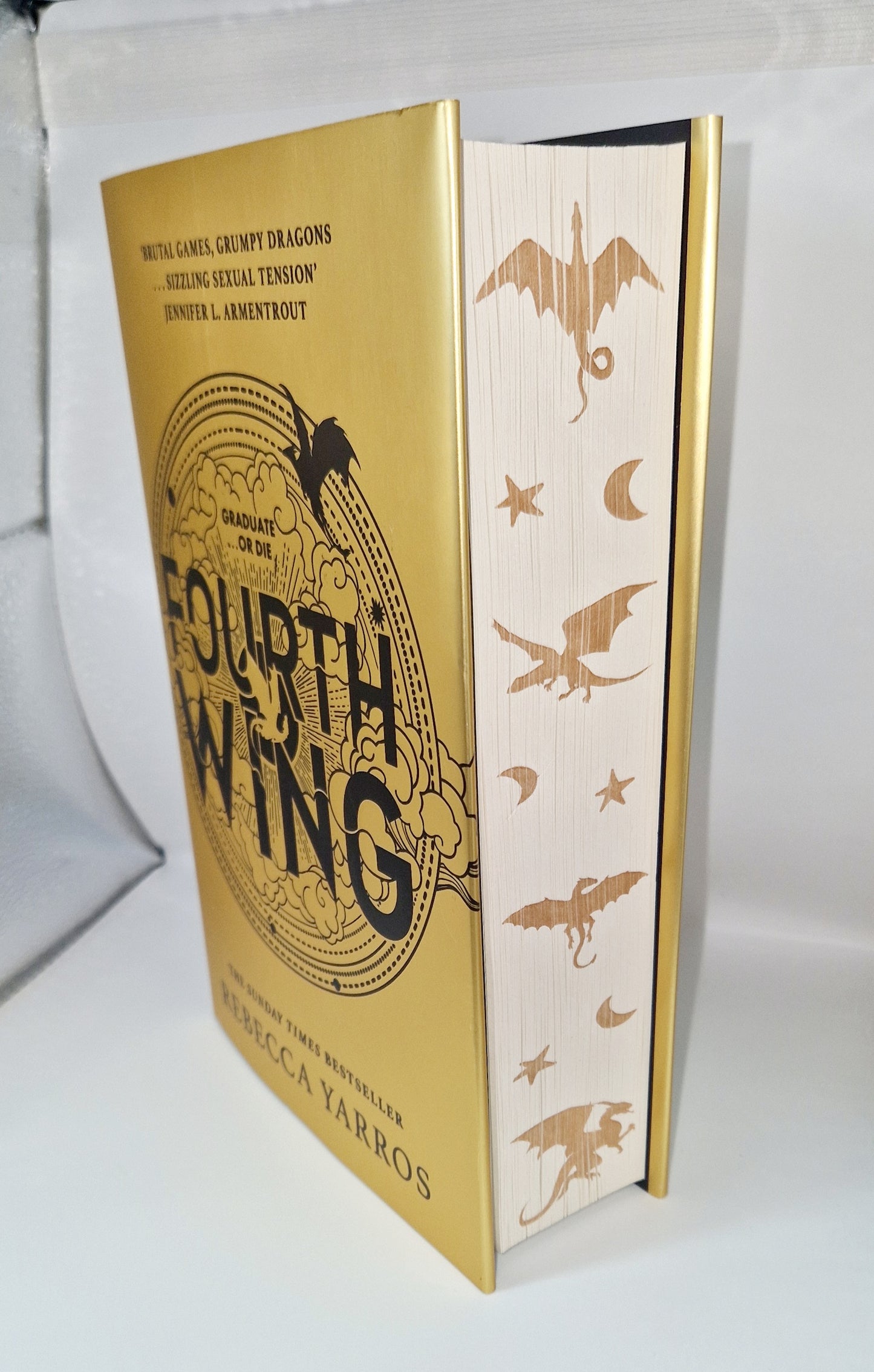 STENCIL - Fourth Wing/Iron Flame dragons PAPERBACKS
